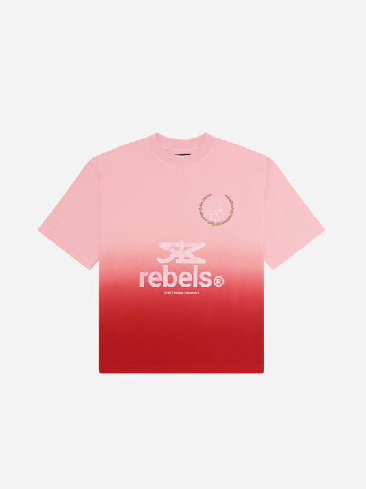 RB heavy t-shirt - dip dye pink